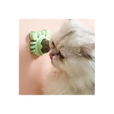 Yengeç Kedi Otu Oyun Topu