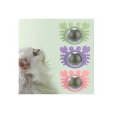 Yengeç Kedi Otu Oyun Topu
