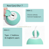 Akıllı İnteraktif Evcil Hayvan Oyuncağı