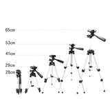 Media