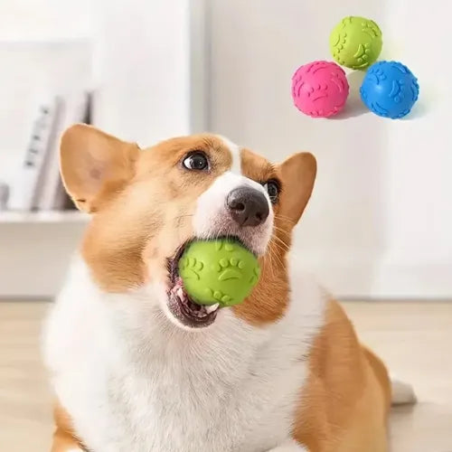 Pati Desenli Dayanıklı Köpek Isırma Topu