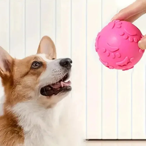 Pati Desenli Dayanıklı Köpek Isırma Topu