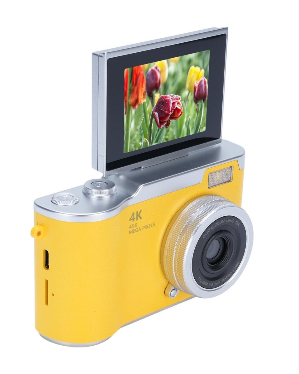 Görsel alt metni
