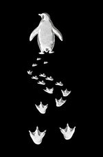 Kadın T-Shirt Penguen Baskılı Bisiklet Yaka Kısa kol yazlık Tişört - Siyah