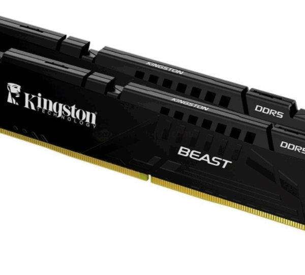 32GB 6400MT/s DDR5 CL32 DIMM (Kit of 2) Beast Black EXPO Turkey