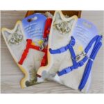 Kedi Boyun ve Göğüs Tasması - Görsel 2