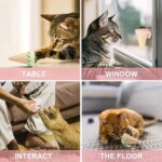 Dondurma Şeklinde Kedi Otu Nanesi - Görsel 2