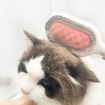 Kedi Köpek Tüy Toplama Tarağı - Görsel 4