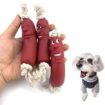 Köpekler İçin Oyuncak Sosis - Görsel 3