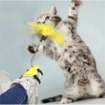 Ayağa Takılan Kedi Oyun Oltası - Görsel 3