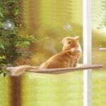 Cama Asılan Kedi Yatağı - Görsel 2