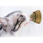 Kedi Otu Oyun Topu Cat Mint - Görsel 3