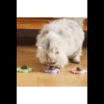 Yengeç Kedi Otu Oyun Topu - Görsel 2