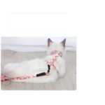 Kedi Gezdirme Göğüs Tasması - Görsel 3
