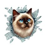 Fulcar Siamesse Araç Stickerı - Görsel 3