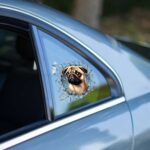 Fulcar French Bulldog Araç Stickerı - Görsel 3