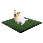 Köpek Tuvalet Eğitim Seti - Görsel 3