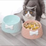 Mikopet Şık Desenli Fiyonklu Mama Kabı - Görsel 3