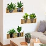 Raflı Bitki Tasarımlı Yapışkanlı Sticker 20*30 cm 3lü Set - Görsel 3