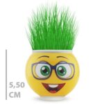 Çim Adam Saksı Emoji Figürlü 1 Adet - Görsel 3