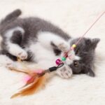 Kedi Oyun Oltası 90 cm - Görsel 3