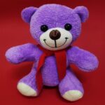 Öğretmenler Günü Hediyesi Peluş Ayıcık - Görsel 3