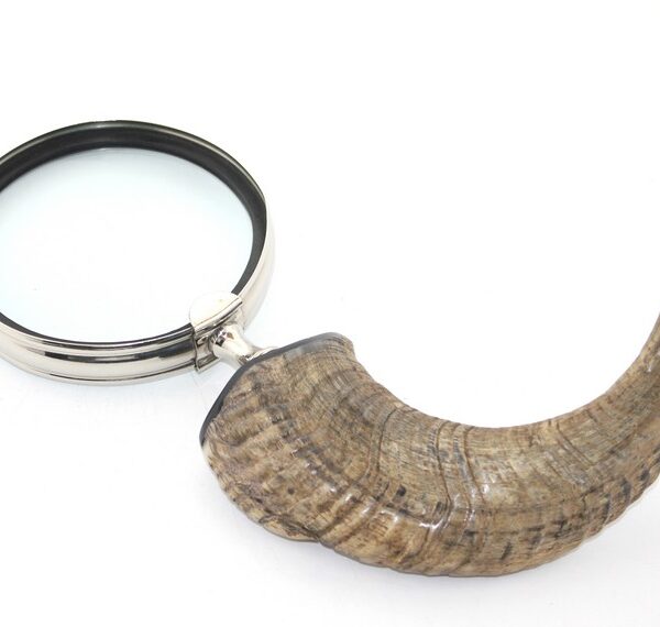 Boynuz Büyüteç Model 2