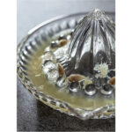 Cam Limon Sıkacağı - Görsel 3