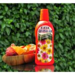 Çiçek Coşturan Çiçek Açan Süs Bitkileri İçin - Görsel 2