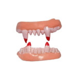 Çift Damak Yumuşak Vampir Dişleri - Görsel 4