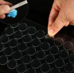 Çift Taraflı Yuvarlak Montaj Macunu 420 Adet