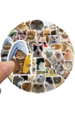 Çılgın Kediler Macbook Notebook Tablet Telefon Ajanda Laptop Defter Sticker Seti - Görsel 5