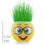 Çim Adam Saksı Emoji Figürlü 1 Adet - Görsel 4