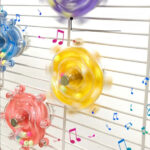 Çıngıraklı Kuş Kafesi İçin Çark Oyuncağı - Görsel 3