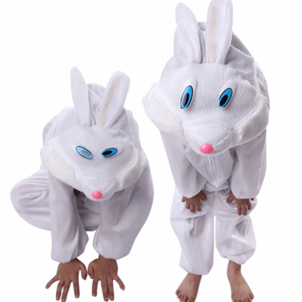 Çocuk Tavşan Kostümü