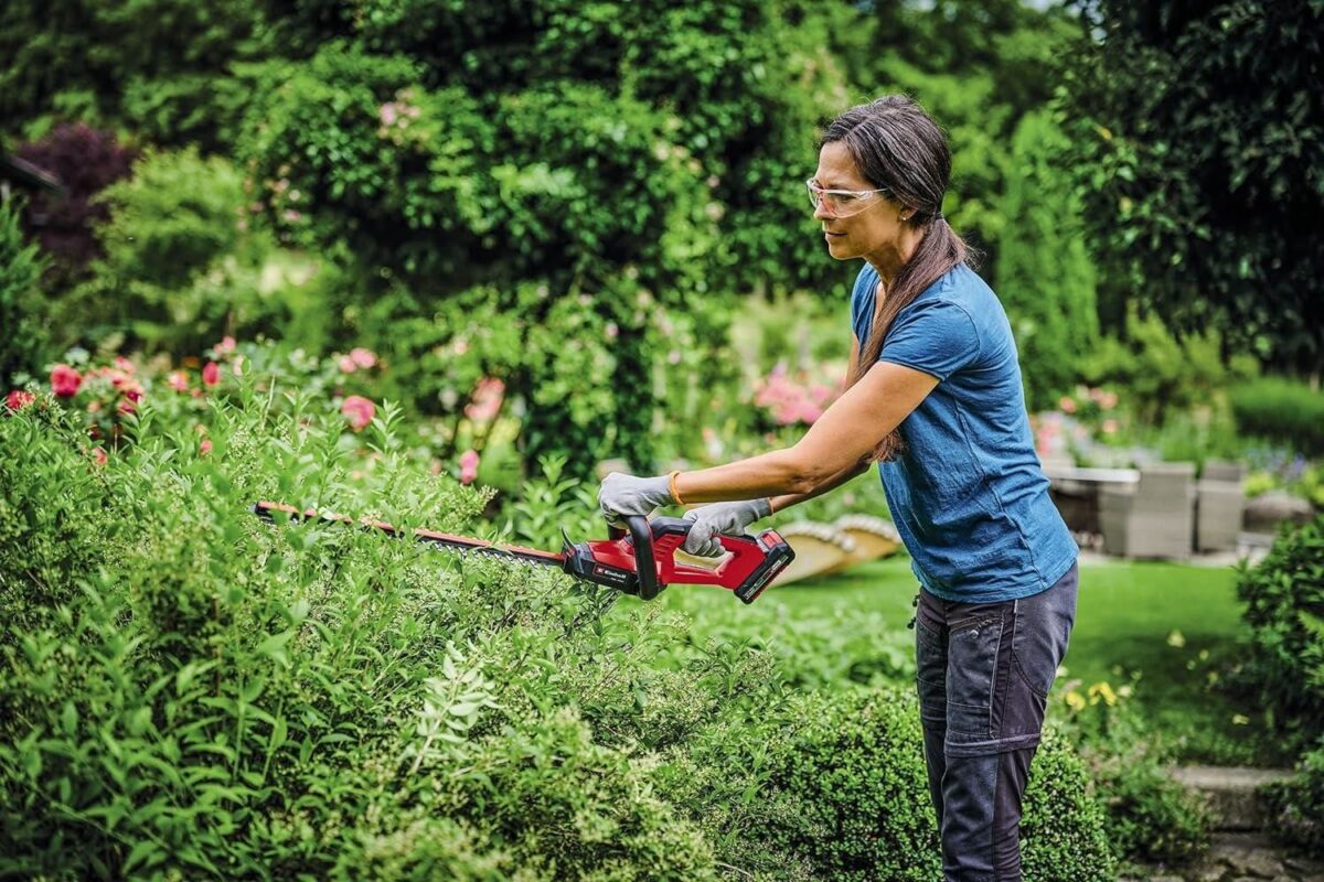 Einhell GC-CH 18/40 Li Solo Aküsüz Çit Budama - Görsel 2