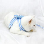 Evcil Hayvan Çantalı Göğüs Gezdirme Tasması Seti - Görsel 3