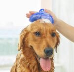 Evcil Hayvan Silikon Tüy Toplama Yıkama Fırçası - Görsel 2