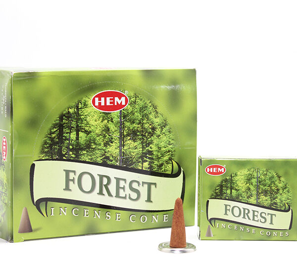 Forest Aromalı Konik Tütsü