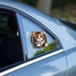 Fulcar Stray Araç Stickerı - Görsel 3