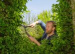 Gardena 12300-20 NatureCut Çit Makası - Görsel 3