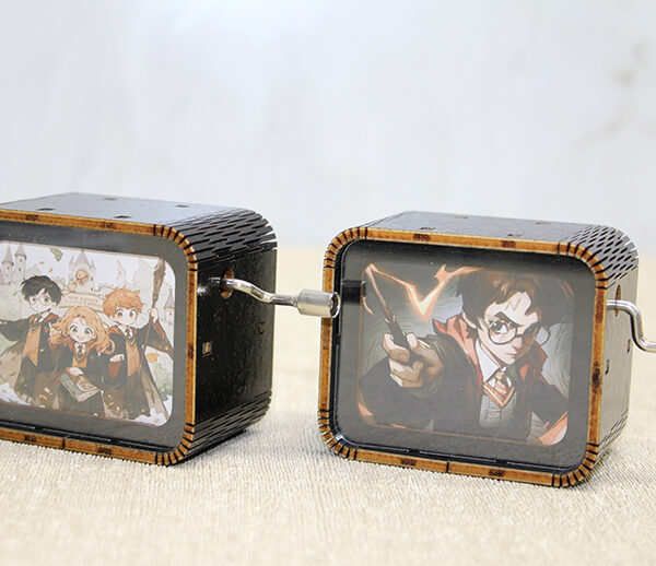 Harry Potter Müzik Kutusu