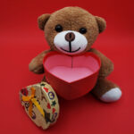 Hediyelik Kahverengi Kutulu Ayıcık - Görsel 3