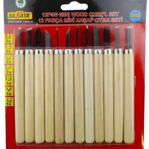 Sakata WD 1008 Ahşap Oyma Seti 12 Parça