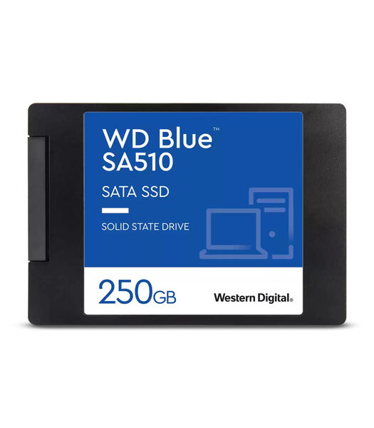 WD 250GB SATA BLUE 2,5&apos;&apos; SSD